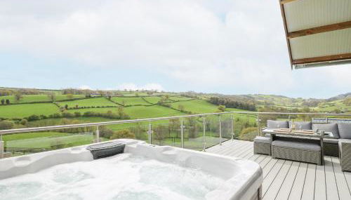 Barcud Coch - Red Kite - Photo 3