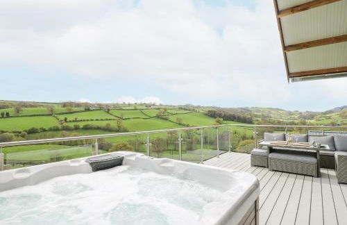 Barcud Coch - Red Kite - Photo 3