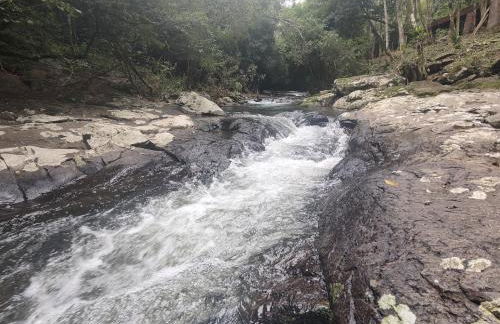 Cabanas dos Plátanos - Foto 54