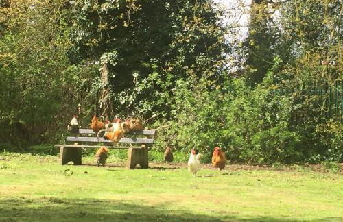 Pollywiggle Cottage, Dog Friendly cottage in Heacham - Foto 13