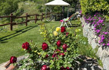 La maison des amis - Foto 37