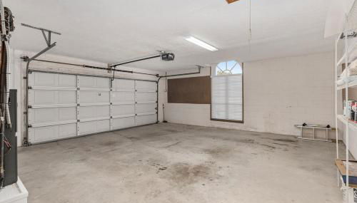 Peacock Paradise - Foto 4