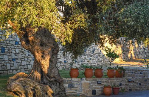 PAUL'S VILLA PLAKIAS - Photo 46