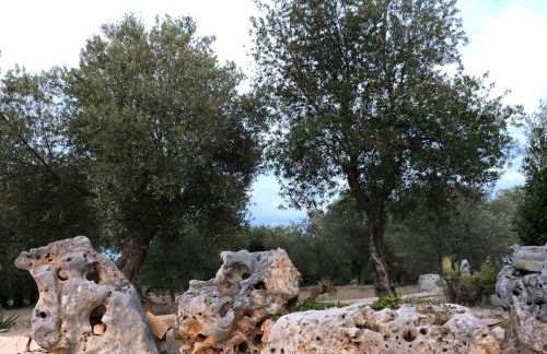 Trullo Tita - Foto 49