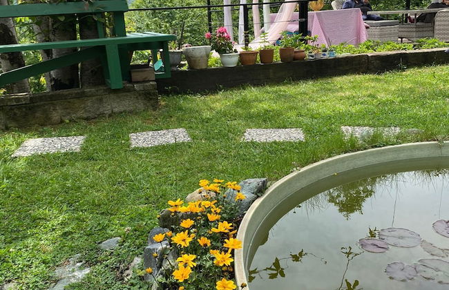 Elifin Gizli Bahçesi - Foto 12