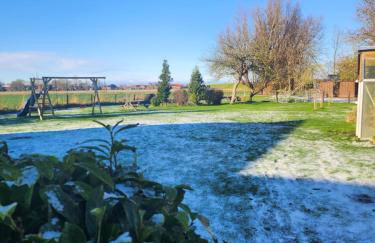 Möwennest - Foto 23