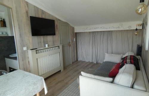 Luna Rossa Superbe studio 4 couchages Hyper centre - Foto 9