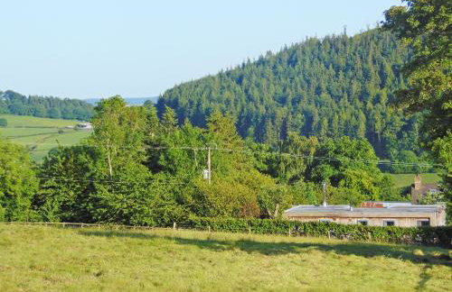 The Wooden Lodge - Foto 15