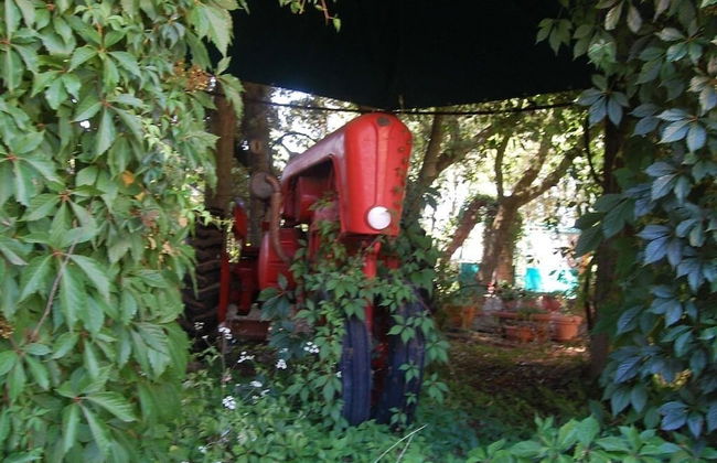 Bio Agriturismo La Spiga D'oro - Photo 29