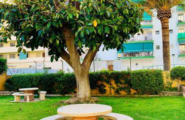 Solana Tulipanes Parking Pool Terrace - Photo 39