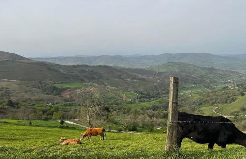 ESPECTACULAR Apartamento en el Centro de Cantabria - Foto 48