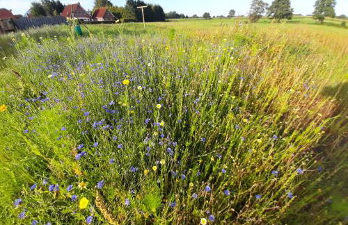 Ferienhaus Groß Moorburg - Foto 46