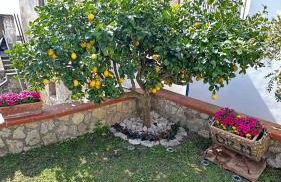 Mira Mila - casa vacanze con giardino a Massa Lubrense - Foto 25