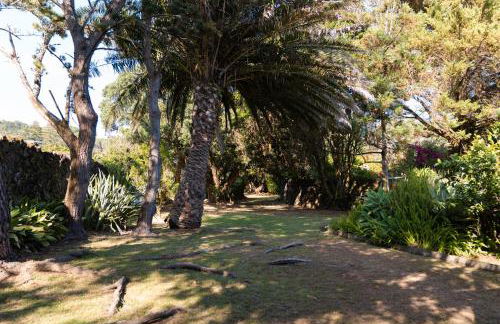 Caloura Suite - Photo 43