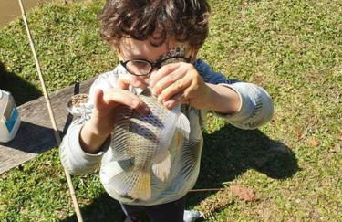 Natureza, paz no sítio - Foto 41