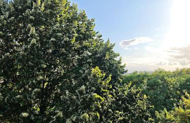 Paris Cozy Studio - 15 Min Paris - Foto 14