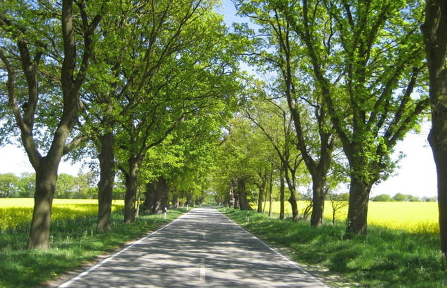 Anne's Holiday Home by the Lake - Foto 15