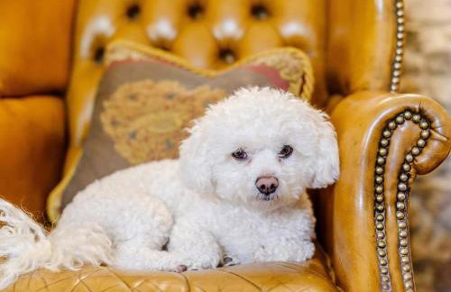 7 Bed in Workington oc-77660 - Foto 6