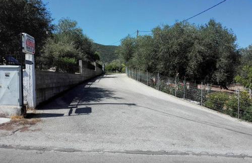 Toulatos Pantelis - Photo 22