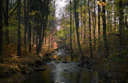 Holiday Home Jägerhaus by Interhome - Foto 45