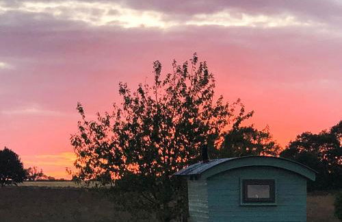 Shepherds Cottage - Uk49766 - Photo 11