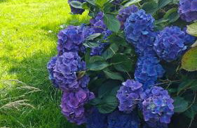 Maison avec Spa en bord de mer - Foto 27