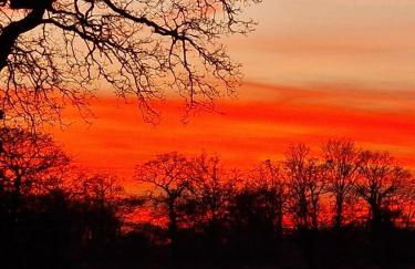 Ferienhaus mit großem Garten - Photo 11