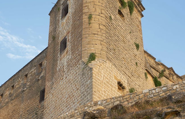 Visita guiada por el Castillo de Sabiote - Foto 1