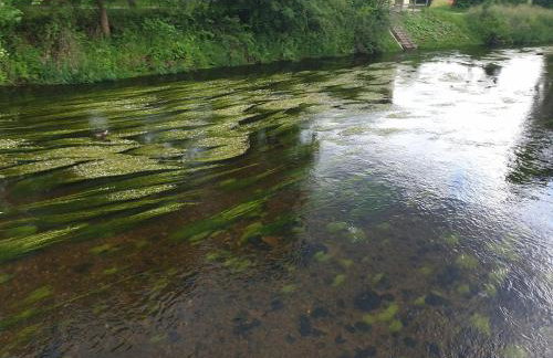 Haus Bergblick - Foto 39