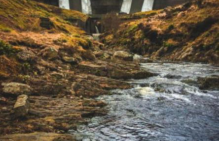 Causeway Cottage - Foto 24