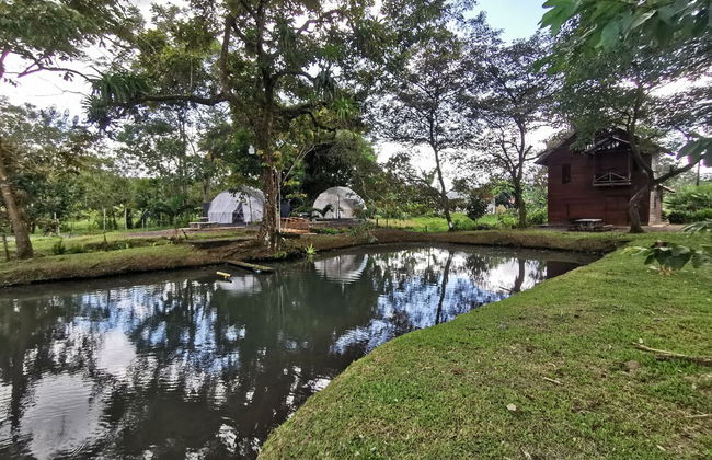 Domo Geodésico 01 - Foto 15