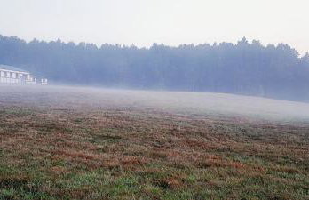 Siedlisko na łące - Foto 11