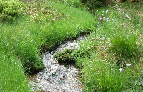 Charmant chalet du Kohlberg - Foto 31