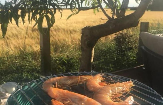 Dog Friendly Bed & Bowl Beach Chalet - Foto 10