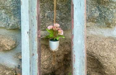 Casa da Zéfinha - Villa, em Cinfães, no Douro - Foto 16