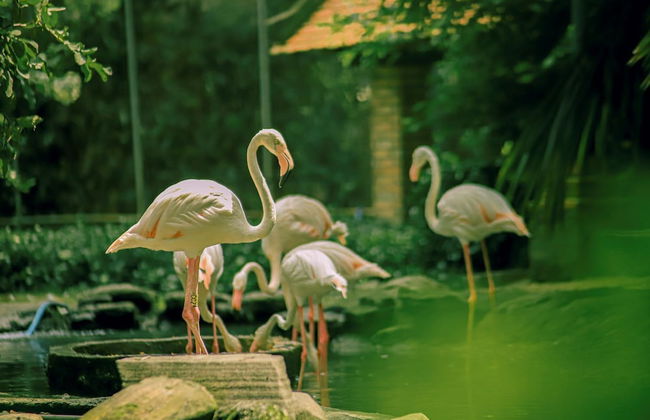 Saigon Apartments - Foto 52