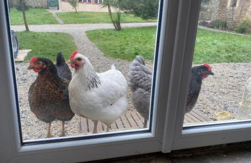 Gîte Gold au Domaine de Saint Vigor - Photo 9