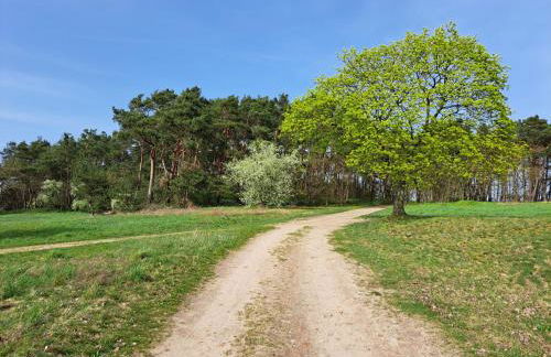 Holiday Home Fh Molkenberg by Interhome - Foto 29