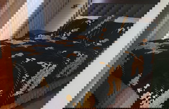 La Avenida Deptos Amoblados - Foto 1