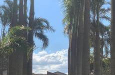 Apto novo 3 dormitórios suíte em São José Dos Campos SP - Foto 4