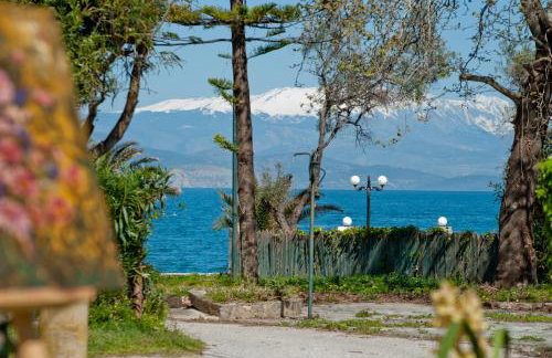 Amarylis Apartments - Foto 5