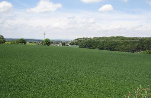 Ferienwohnung Ebersbach - Foto 62