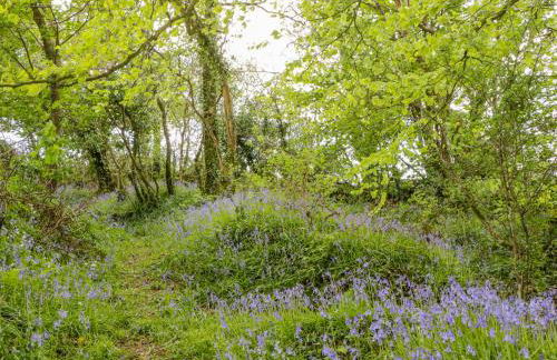 Orchard Loft - Foto 25