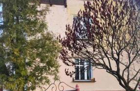 Apartament w Złotym Stoku Przystanek Las - Foto 25