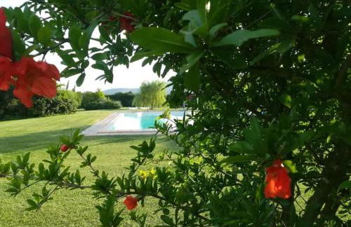 "IL CASALE DEI GIRASOLI" Country House in Capalbio - Foto 23