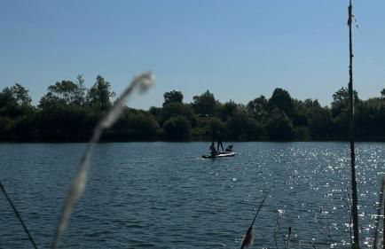 La Grande Pommeraie - Foto 62