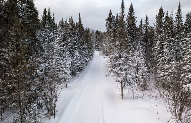 Yourte expérience Charlevoix - Foto 58