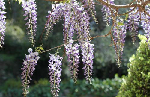 Villa La Lavande - Foto 30