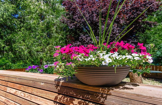 Madi's Place ~ Guest House - Foto 18