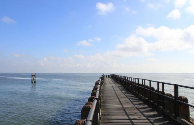 Pet-friendly Escape by the Sea - Photo 32